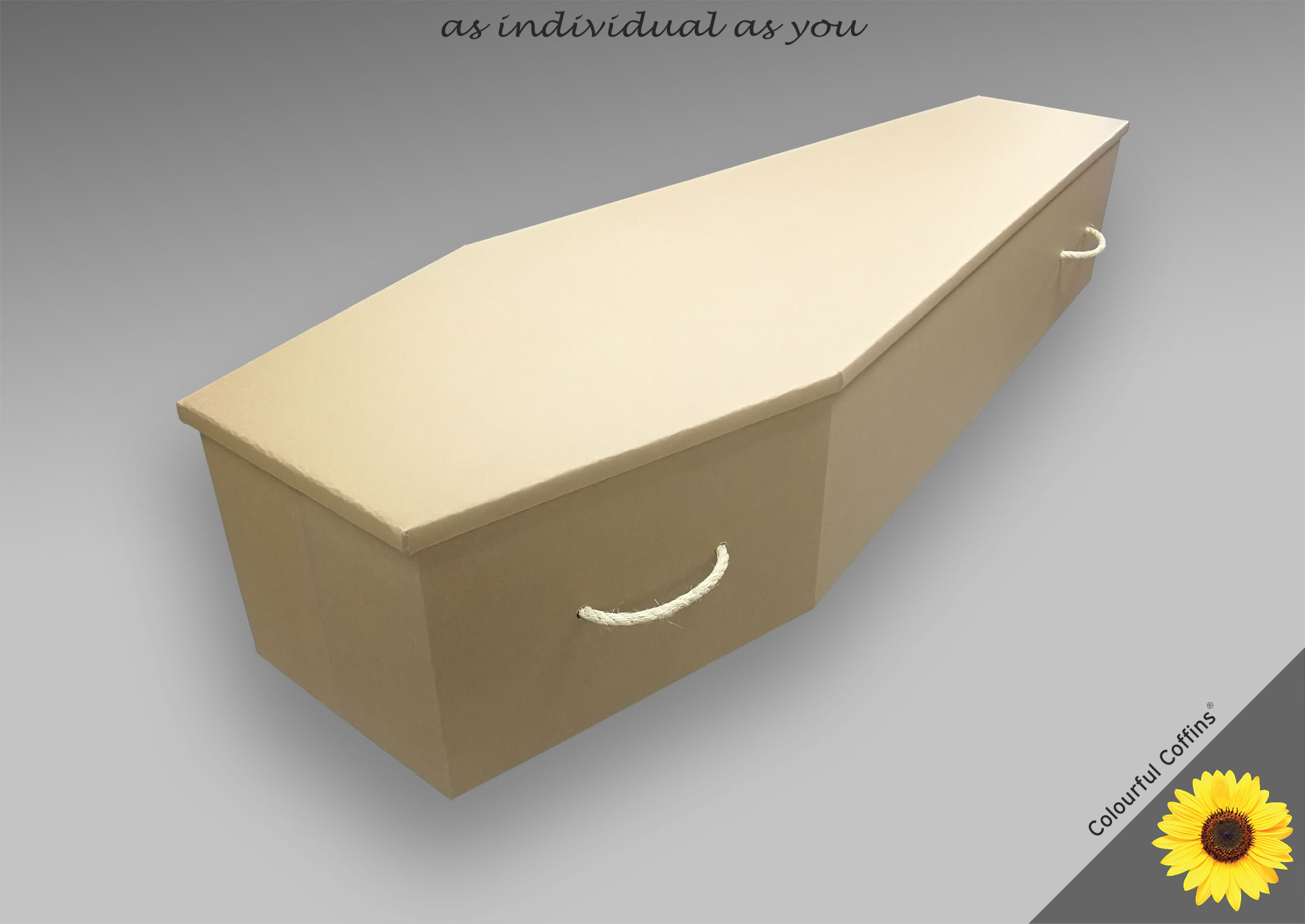 Cardboard_brown £610