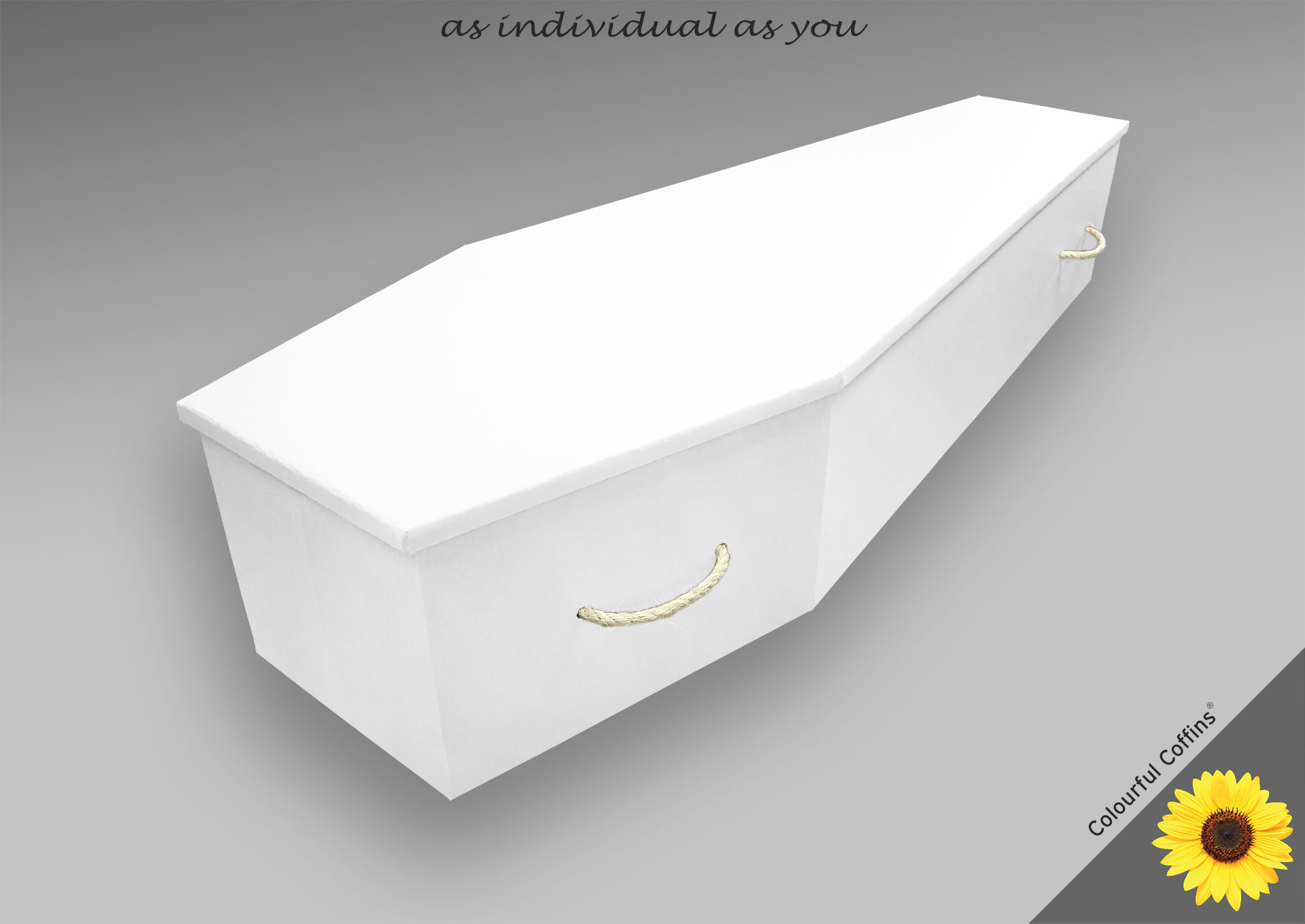 Cardboard_white £610