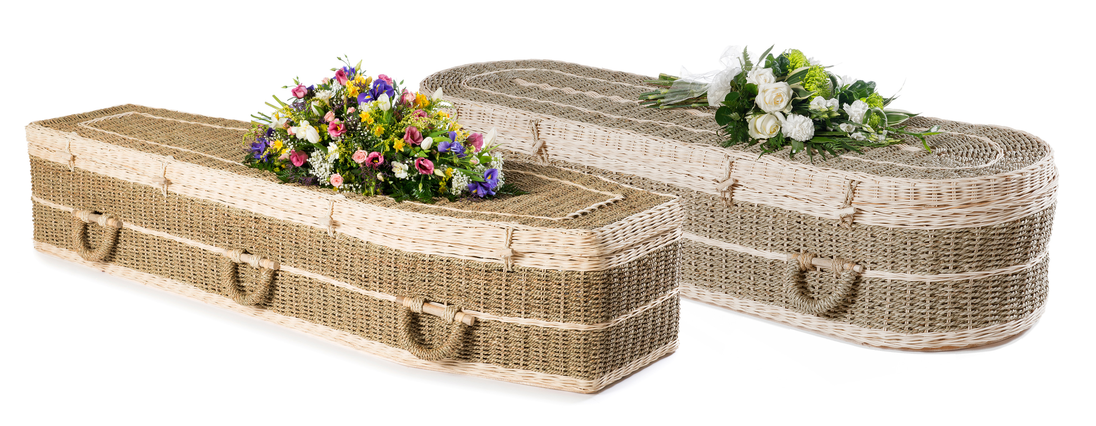 Pandanus £1109