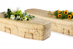 Bamboo-eco £810