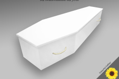 Cardboard_white £610