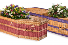 English-Willow-Colours £1675