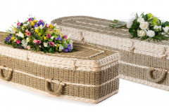 Pandanus £1109