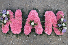 L01