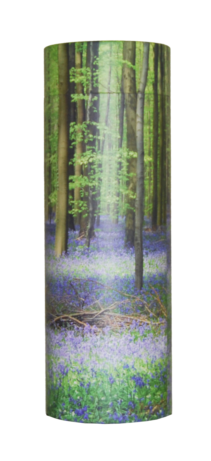 Bluebell