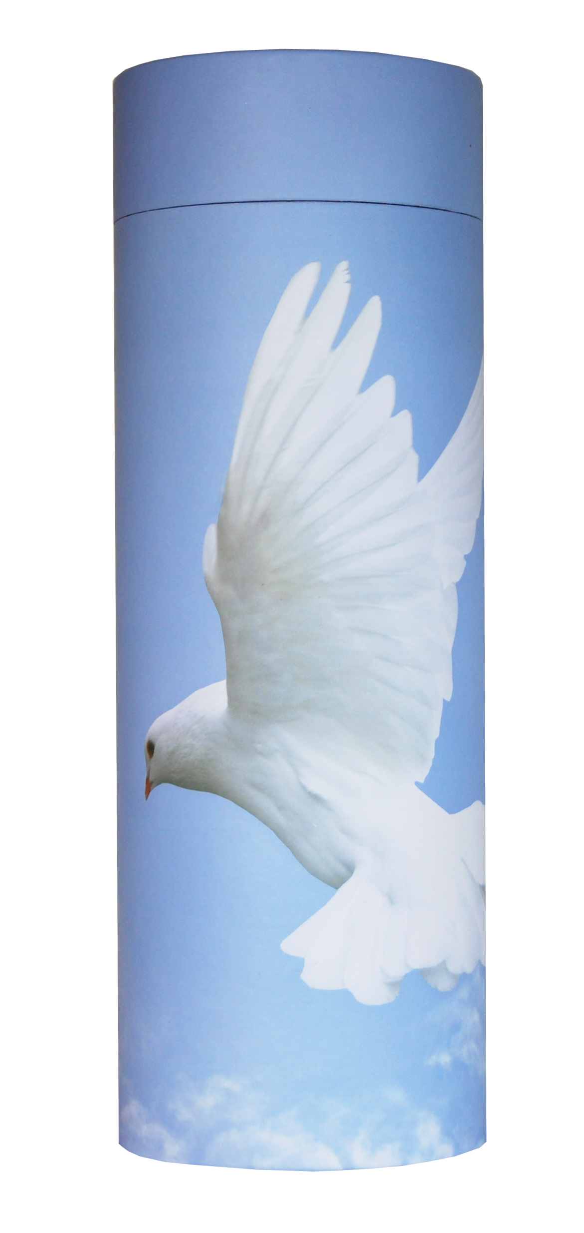Dove In Flight