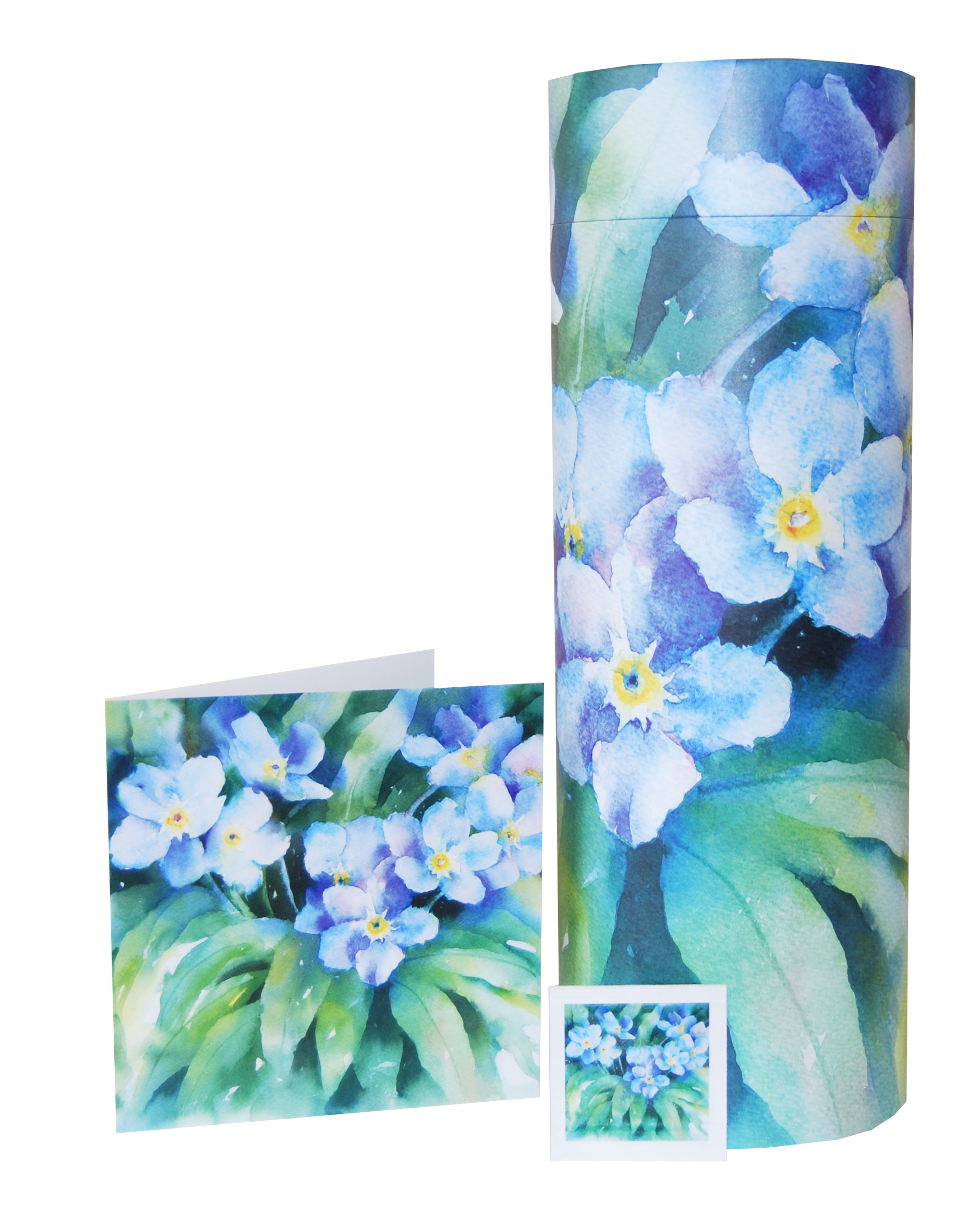Forget-Me-Not with card & seed pack