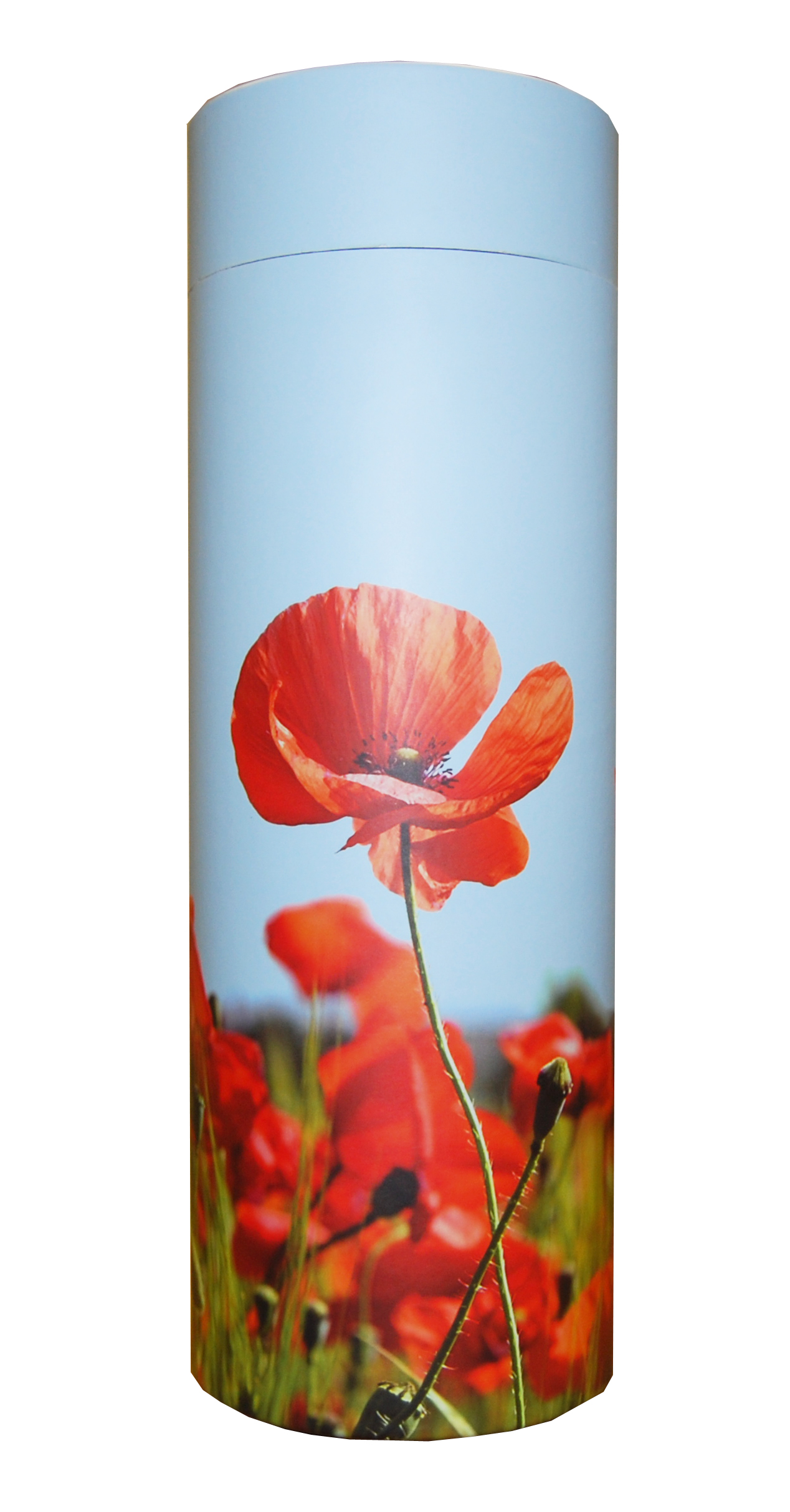 Poppies copy