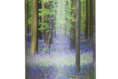 Bluebell