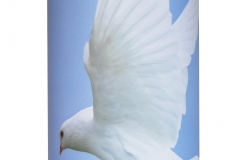 Dove In Flight