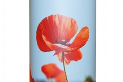 Poppies copy